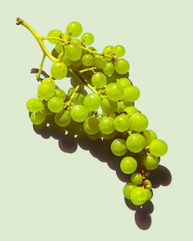 Grapes have been a popular subject in art throughout history