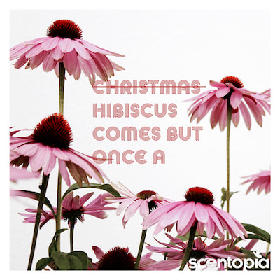 hibiscus essential oil for perfume making at scentopia, latest attraction in singapore