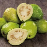 Guava essential oil helps fight 'athlete's foot'