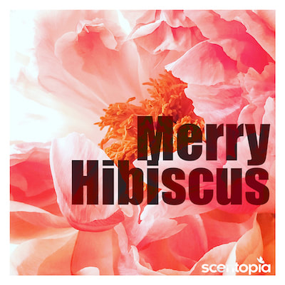 hibiscus & perfume at scentopia latest tourist attraction scentopia