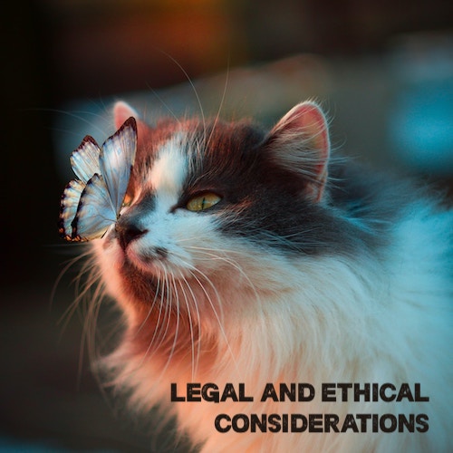 Legal and Ethical Considerations:

