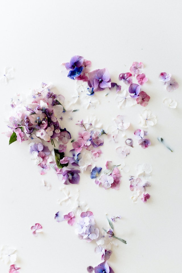 Lilac Floral Notes for Perfumery
