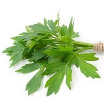 Lovage has culinary, medicinal and aromatic purposes.