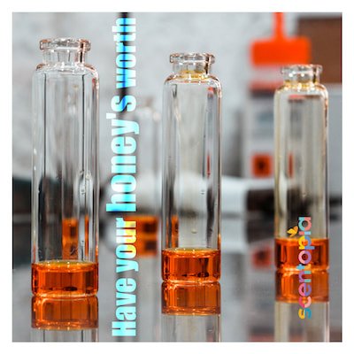 woody essential oil in test tubes for perfume making sentosa