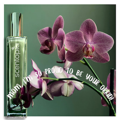 orchid perfume bottle at scentopia singapore