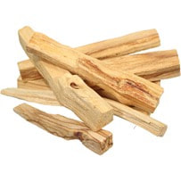 Palo Santo is very fragrant and carries the scent of pine, mint with tinge of citrusy notes.