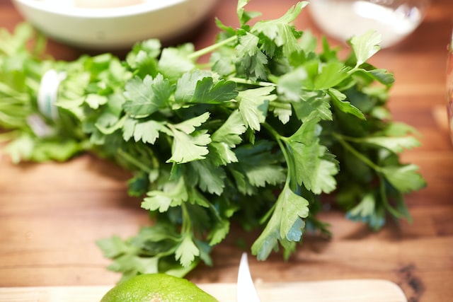 n ancient Greece and Rome, parsley was associated with death and was used in funerary wreaths