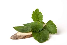 Patchouli oil is also used in the production of soaps, candles,