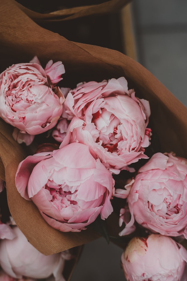 Peonies have also been depicted in contemporary art, and continue to be a popular subject for artists today