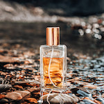 6- Perfume and Cologne: The Distinguishable Differences