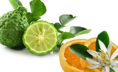 Natural Citrus Aroma - Petitgrain Scent