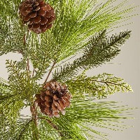 Pine is very commonly used in disinfectants and air fresheners. 