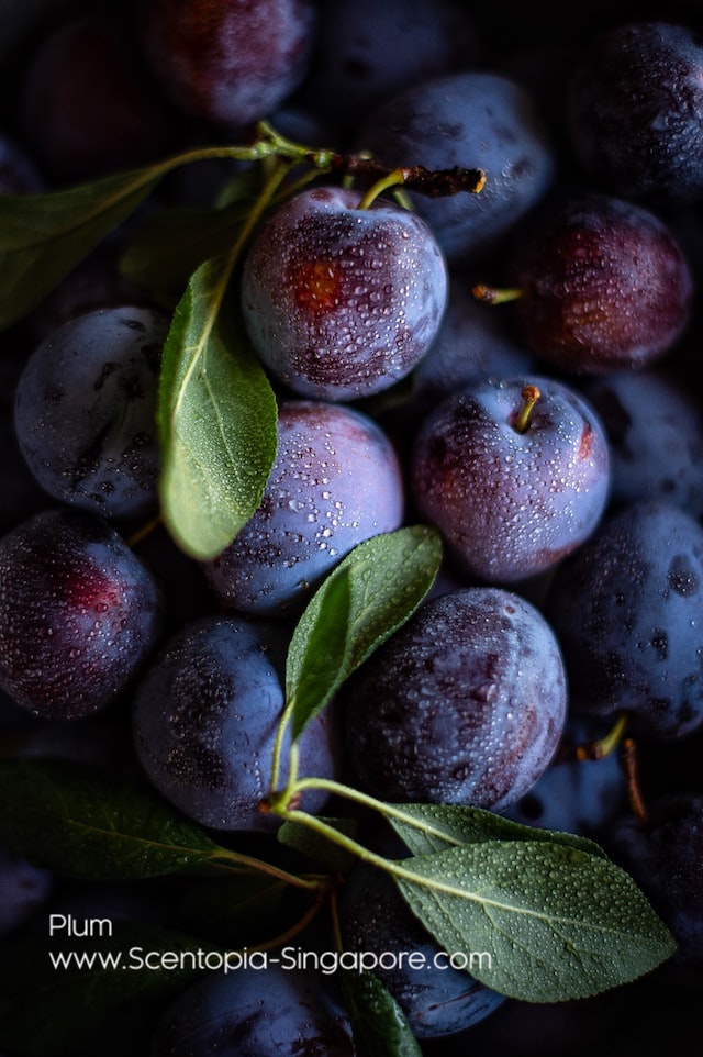 Plums have been used in traditional medicine for centuries to treat a variety of ailments. 