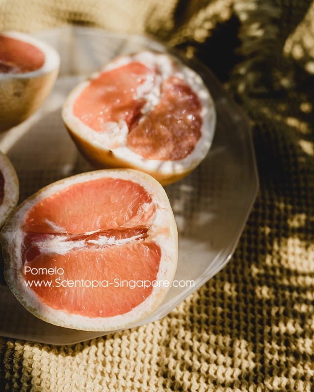 Pomelo, also known as pummelo, shaddock or Chinese grapefruit