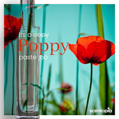 poppy essential oil for perfume making sentosa