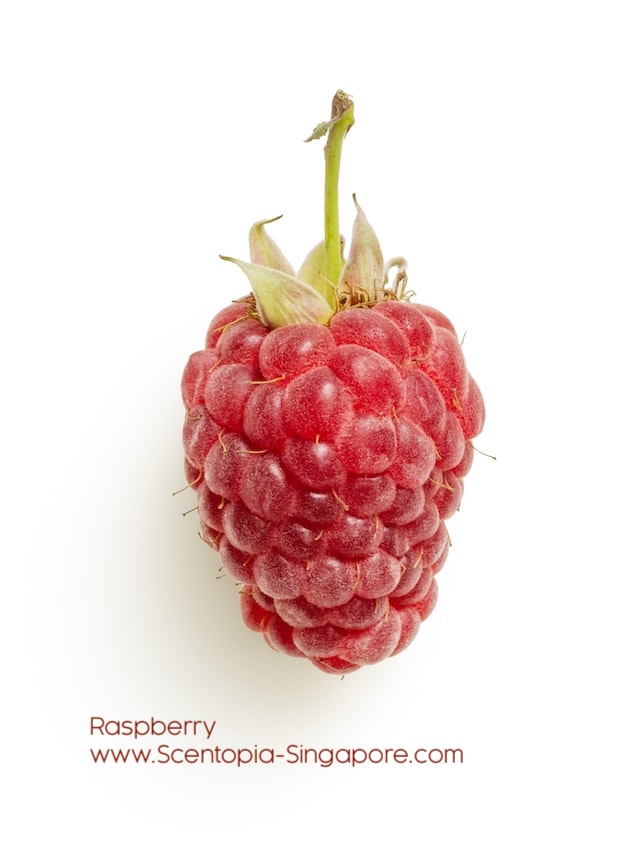 Vibrant Perfume Collection - Raspberry Scent