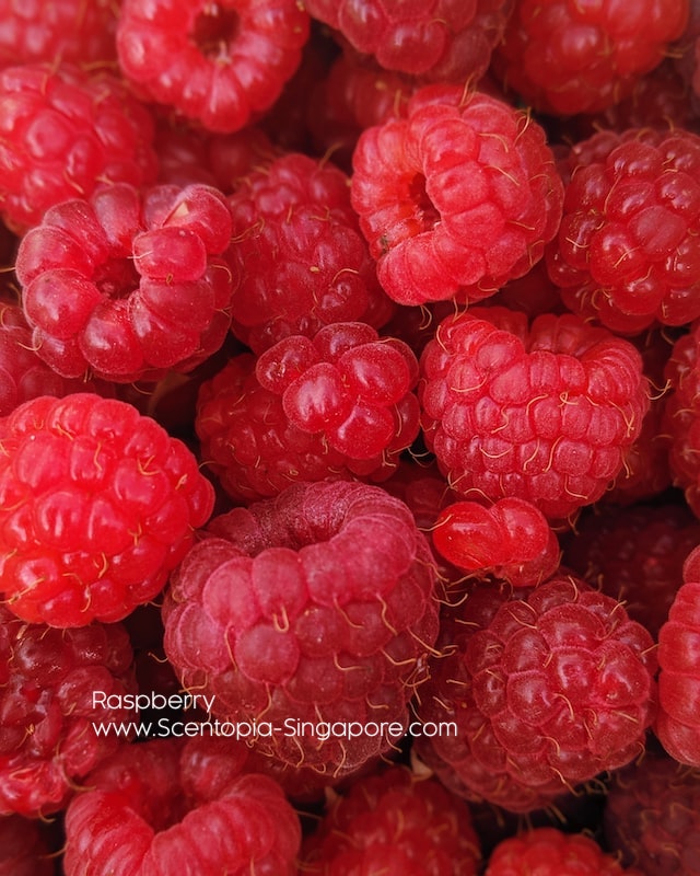 The scent profile of raspberries is sweet, juicy, and slightly tart,