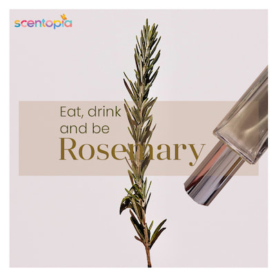 rosemary perfume ingredient at Sentosa singapore