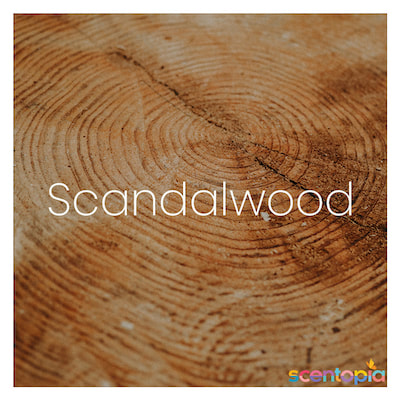 sandalwood a great woody perfume ingredient
