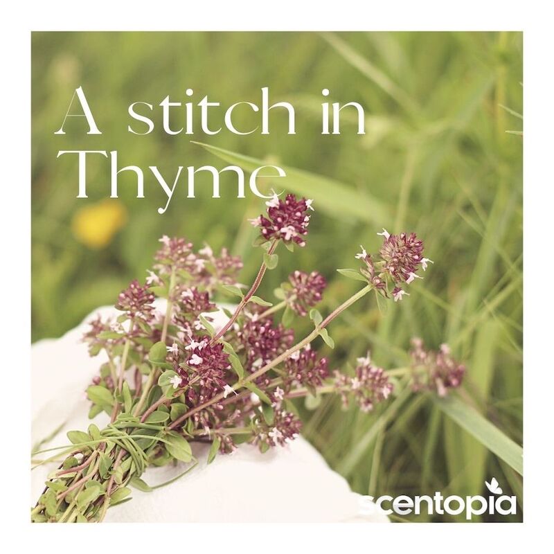 A stitch in Thyme