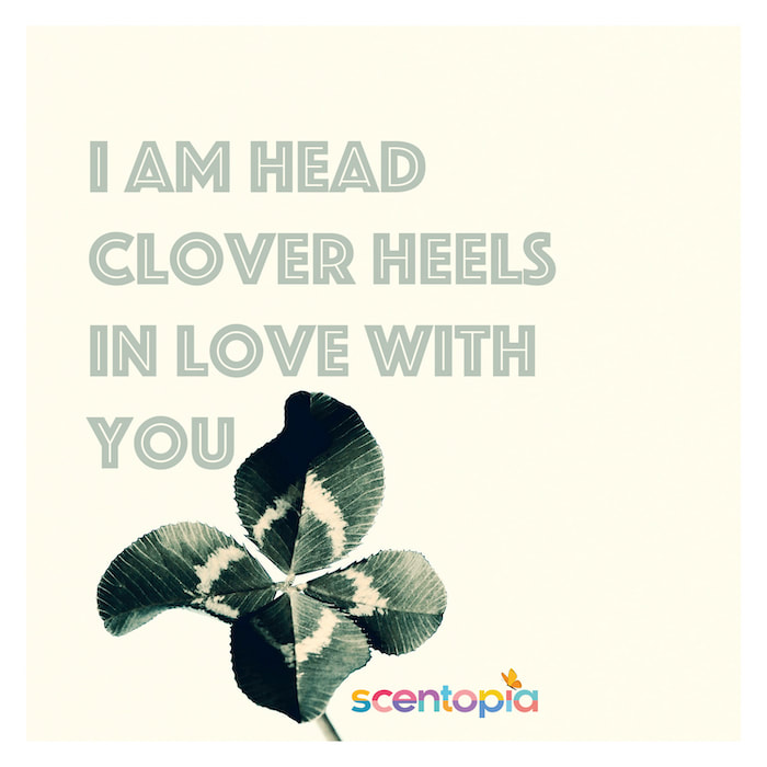 head clover heals in love with you