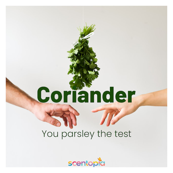 you parsley the test