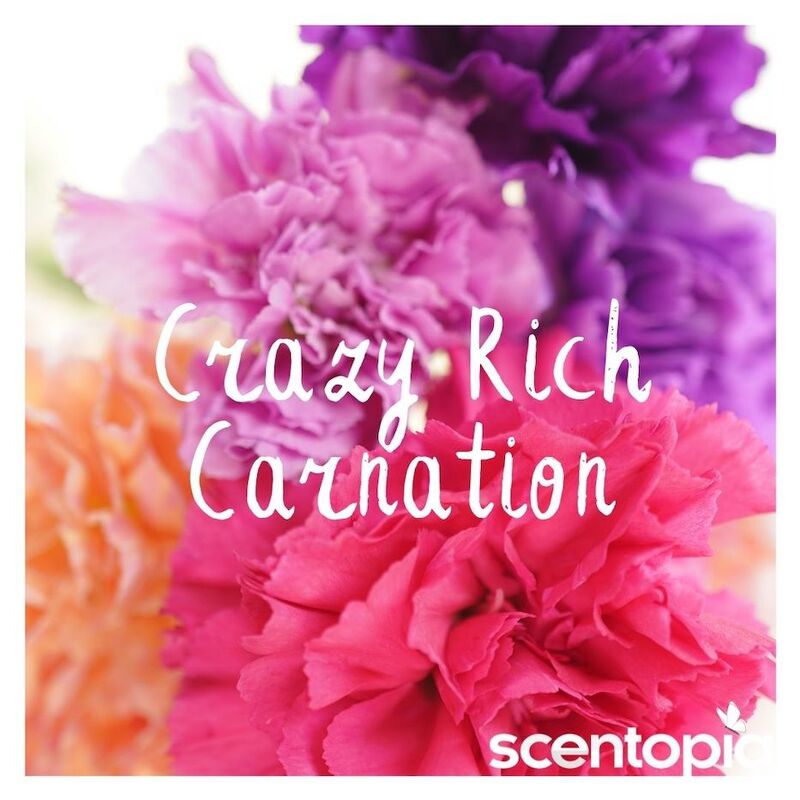 crazy rich carnation