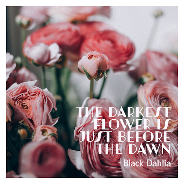 the darkest flower is just before the dawn