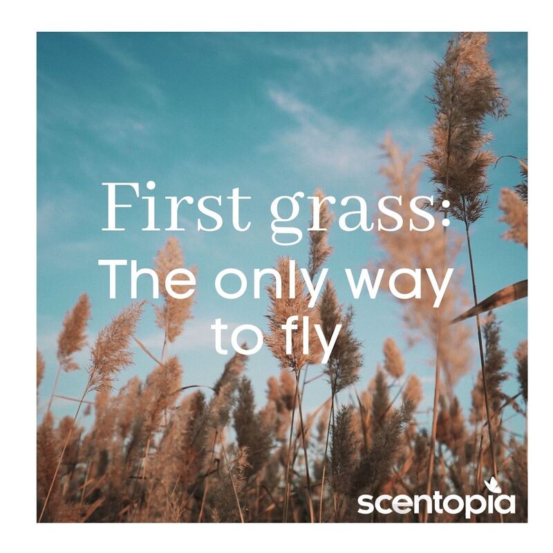 first GRASS: only way to fly