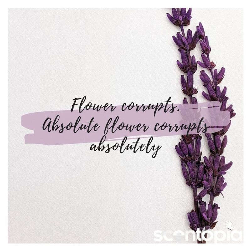 Flower corrupts- absolute flower corrupts entirely