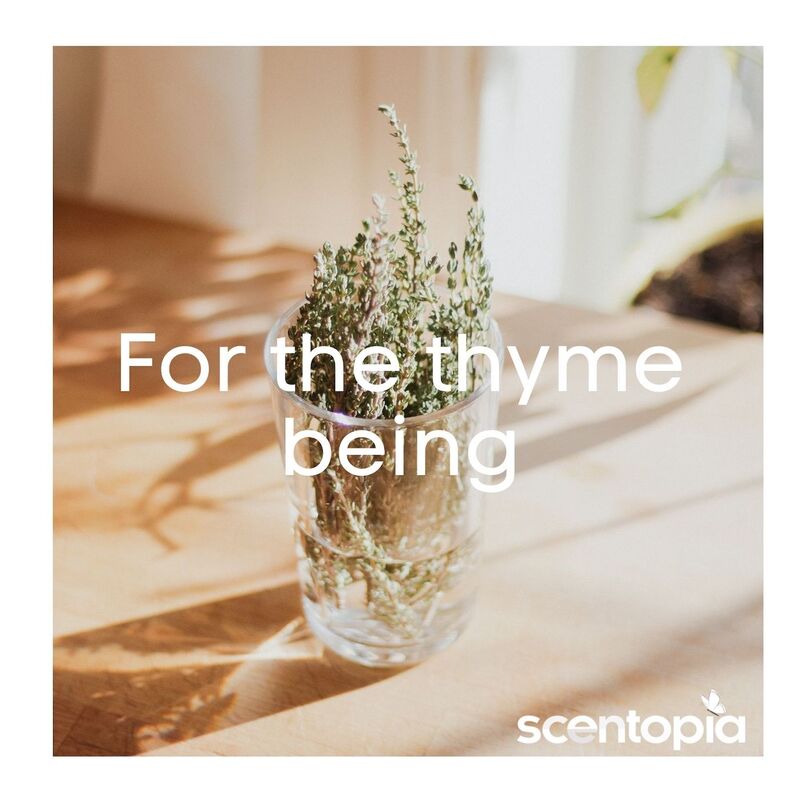 for the thyme being