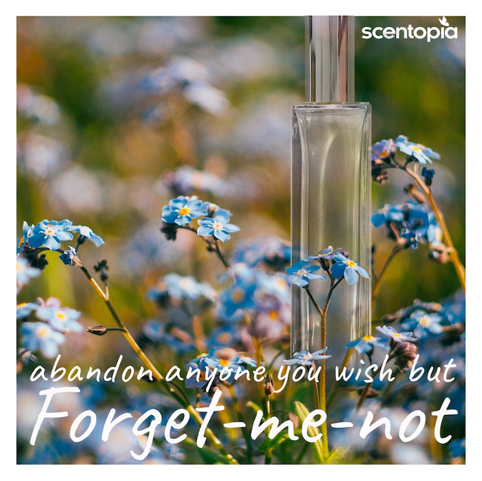 abandon but forget-me-not