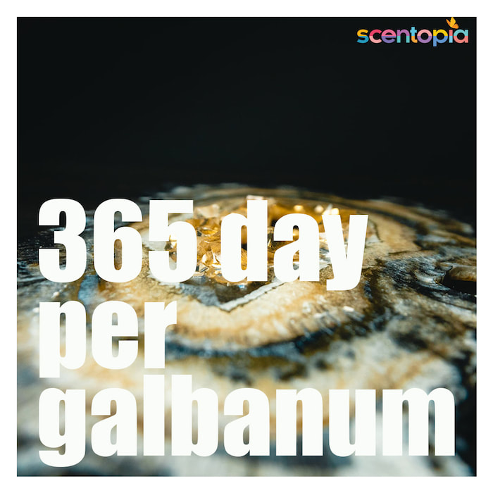 365 days per galbanum