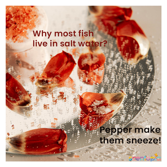 fish live in salt water, because pepper makes them sneeze