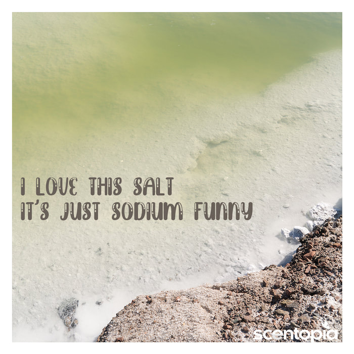 i love this salt bomb. Its sodium funny!