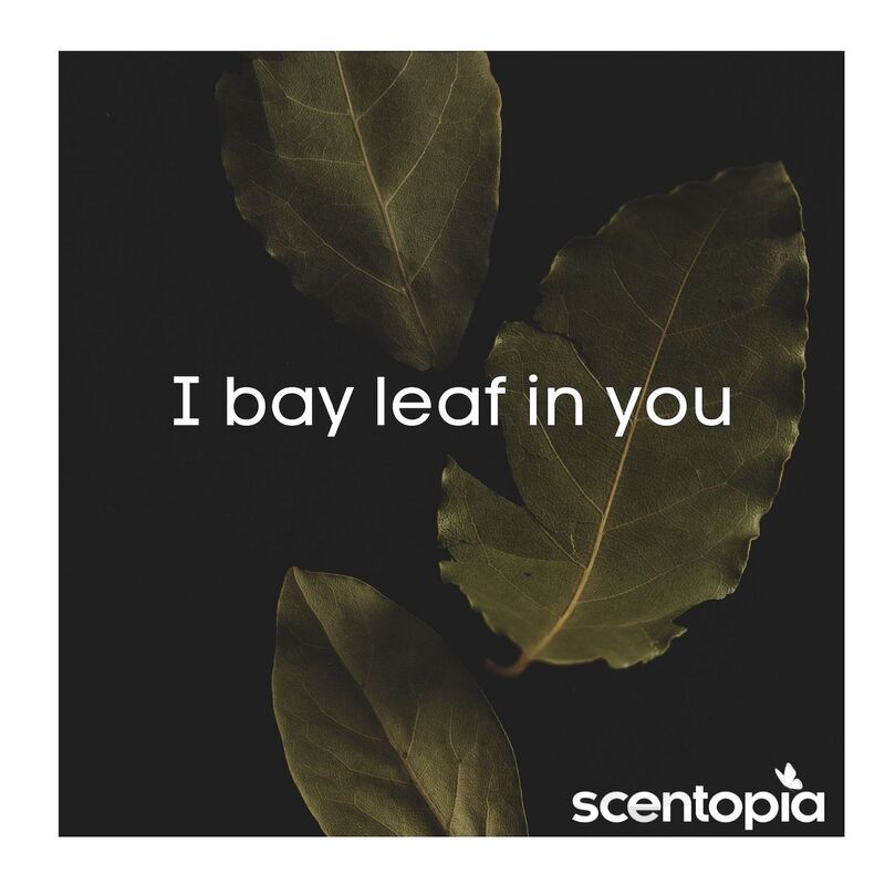 I bay leaf in you