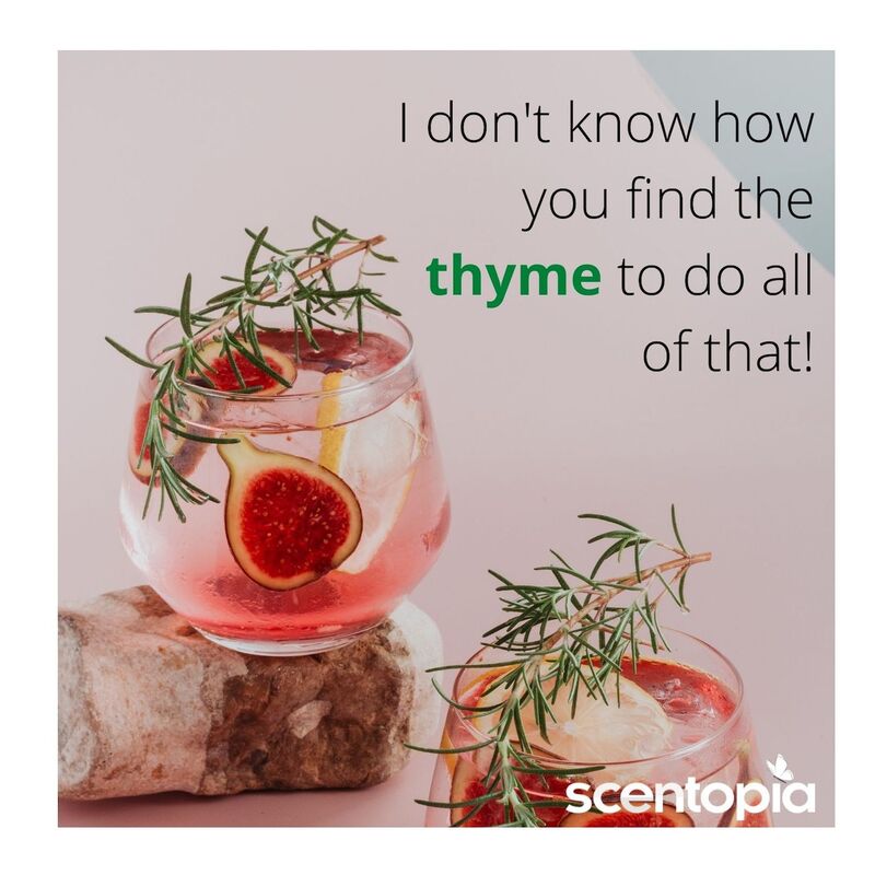 I dont know how you find thyme to do all of that