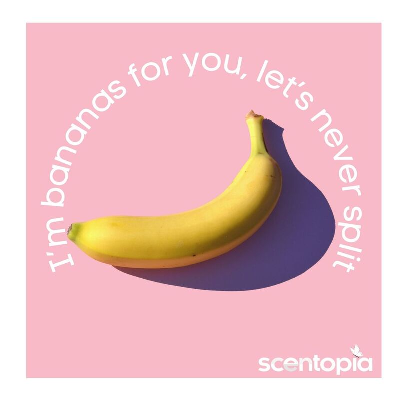 I am bananas for you, let's never split