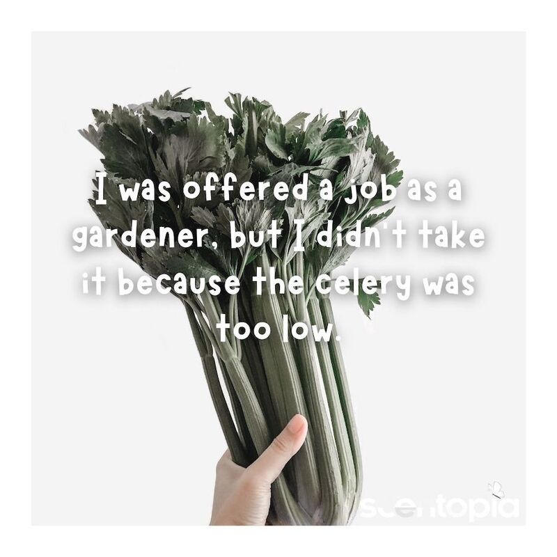 I left gardening, the celery was too low