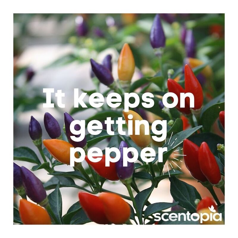 it keeps on getting pepper
