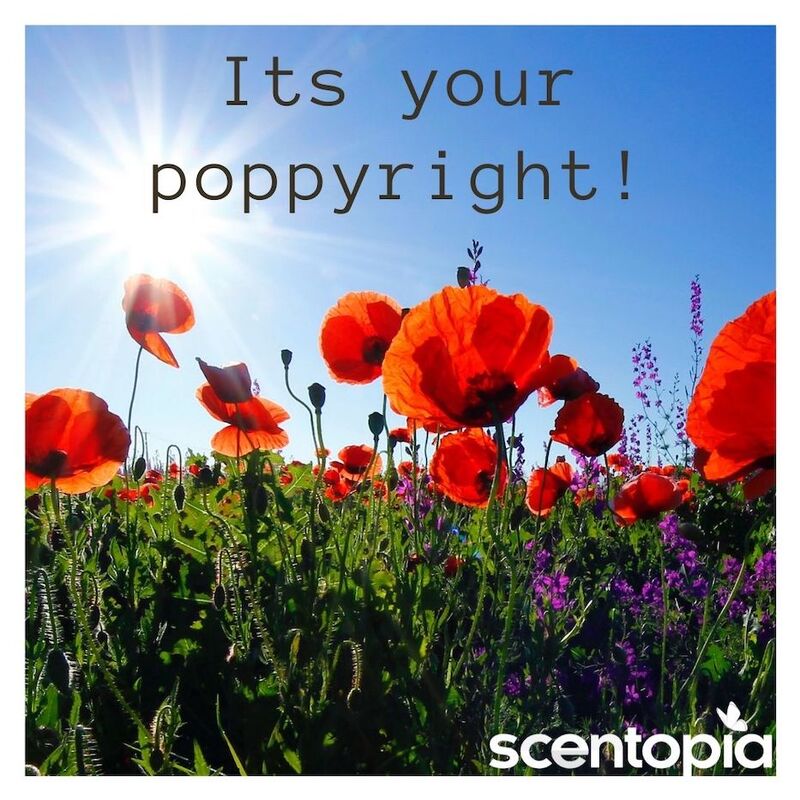 its your poppyright