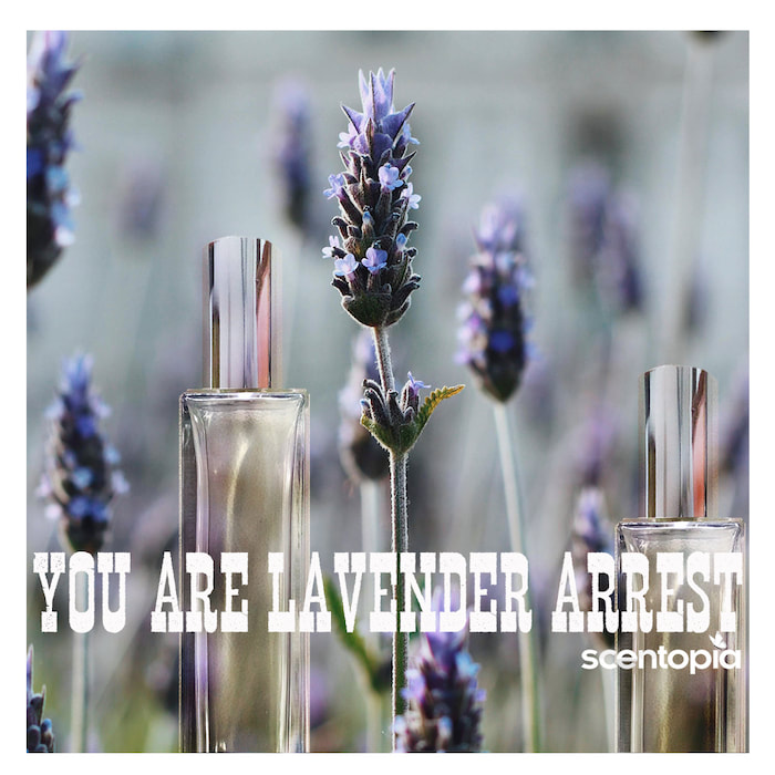 you are lavender arrest