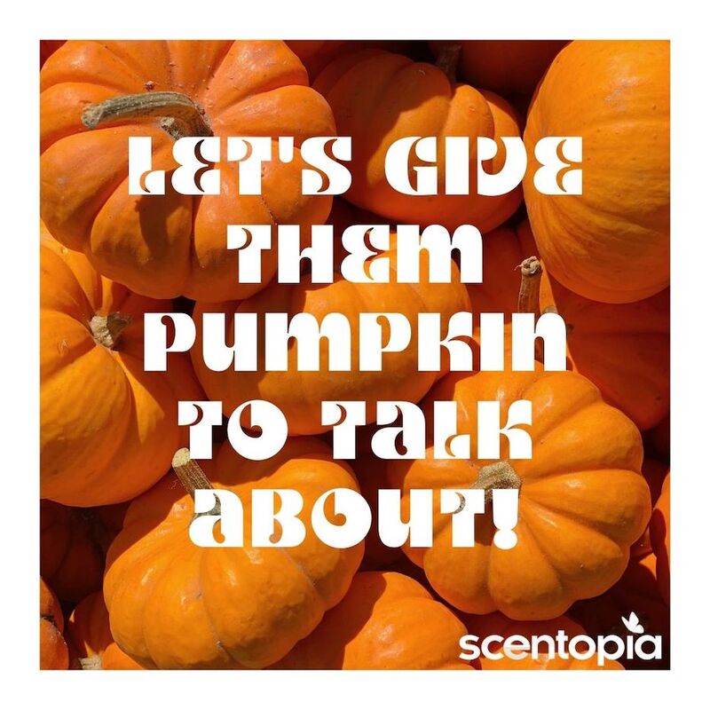 lets give them pumpkin to think about