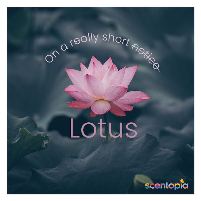 on a really short lotus
