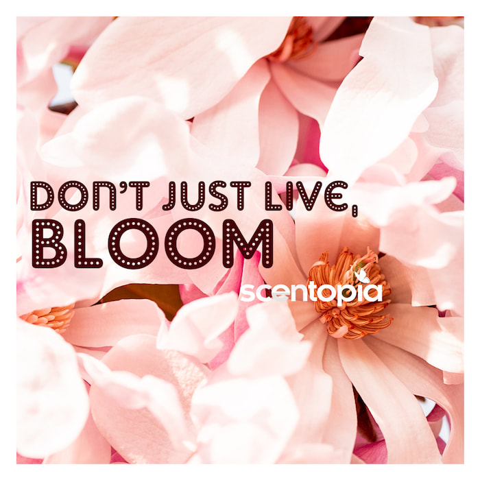 dont just live... BLOOM