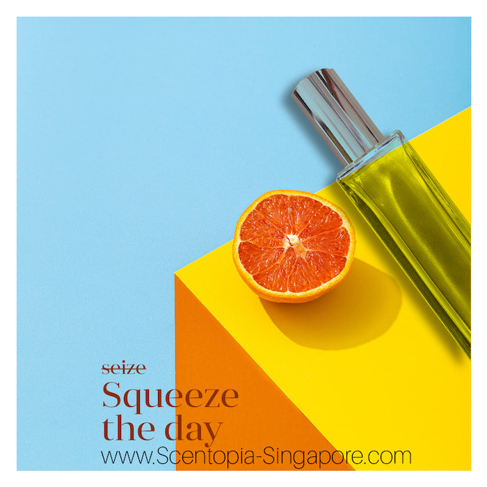 squeeze the day