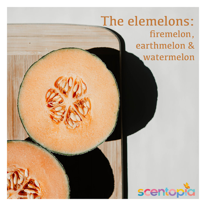 The elemelons- firemelon, earthmelon and watermelon