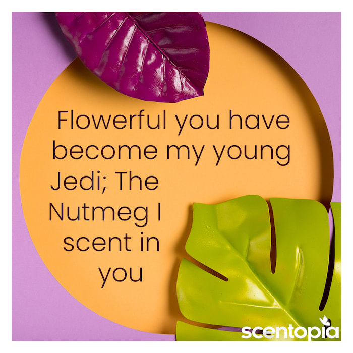 flowerful you have become my young Jedi; NUTMEG i scent in you