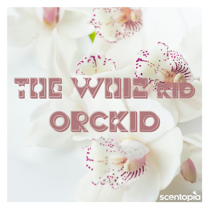 the whiz orkid