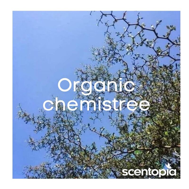 organic ChemisTREE